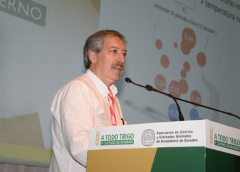 Para Daniel Miralles, experto en cereales, la campaña permite hacer trigos de calidad y sin mezquinar nutrientes