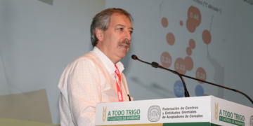 Para Daniel Miralles, experto en cereales, la campaña permite hacer trigos de calidad y sin mezquinar nutrientes