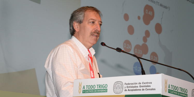 Para Daniel Miralles, experto en cereales, la campaña permite hacer trigos de calidad y sin mezquinar nutrientes