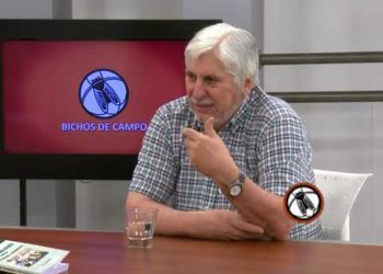 Retenciones bajo la lupa: Eduardo Azcuy Ameghino, economista de la UBA, dice que “la gran concentración de la producción” justifica los derechos de exportación