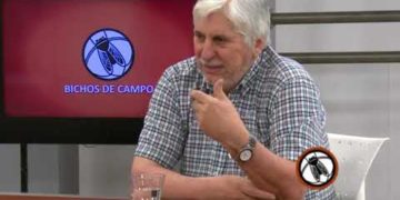 Retenciones bajo la lupa: Eduardo Azcuy Ameghino, economista de la UBA, dice que “la gran concentración de la producción” justifica los derechos de exportación