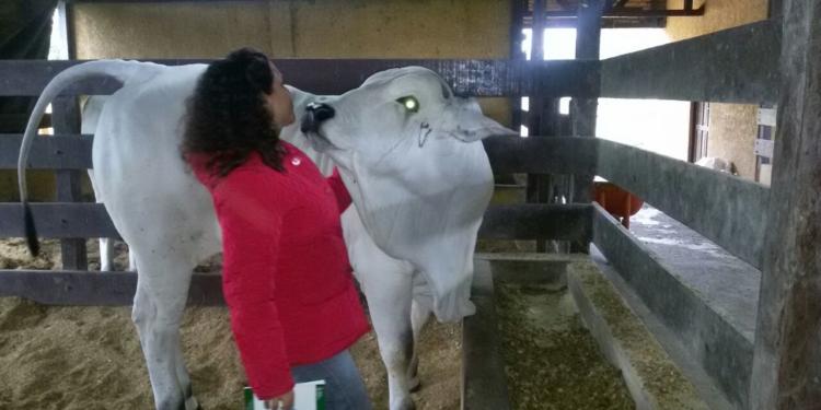 Sandra relata el potente crecimiento de la ganadería en Bolivia, donde en 2019 lograron récord de exportación de carne