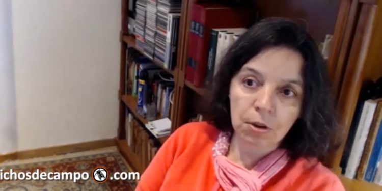 Retenciones bajo la lupa: “Yo creo que nadie bien nacido puede estar a favor de este impuesto”, dice la economista Iris Speroni