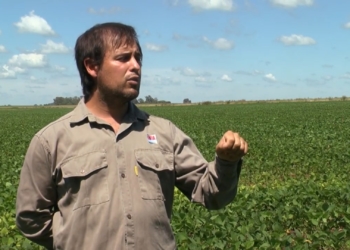 Un mundo nuevo: Mariano Luna celebra el renacer del “manejo integrado de plagas” de la mano de los cultivos de servicio