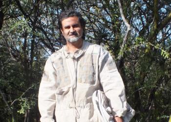 Nery Martínez: “La cultura del apicultor de monte es el conocimiento de los diferentes estratos del bosque”