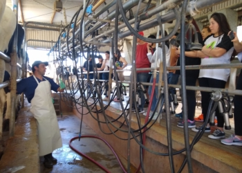 José María Cano incorpora la agroecología a su tambo de Tandil: “Producimos leche con sabor a leche”