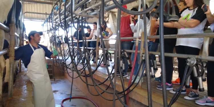 José María Cano incorpora la agroecología a su tambo de Tandil: “Producimos leche con sabor a leche”