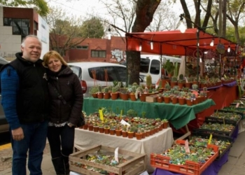 El duro momento de un matrimonio que vive de producir cactus y suculentas: “No nacimos para pedir;  solo queremos trabajar”