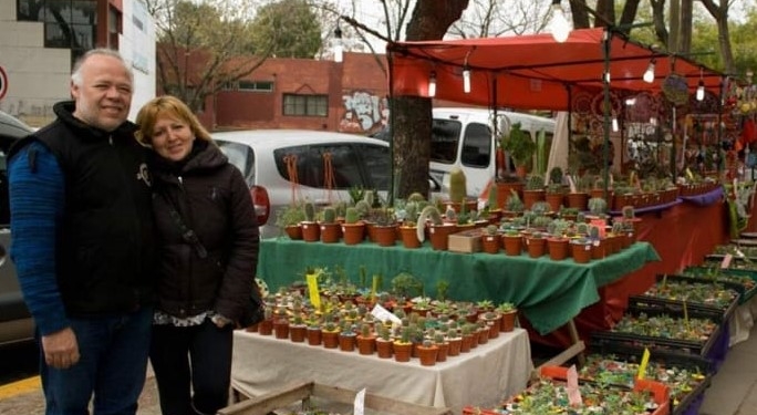 El duro momento de un matrimonio que vive de producir cactus y suculentas: “No nacimos para pedir;  solo queremos trabajar”