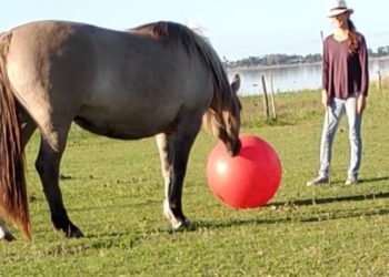 Victoria Beláustegui redescubrió el poder de los caballos, que sanan y nos enseñan a perder el miedo