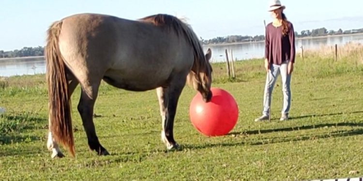 Victoria Beláustegui redescubrió el poder de los caballos, que sanan y nos enseñan a perder el miedo