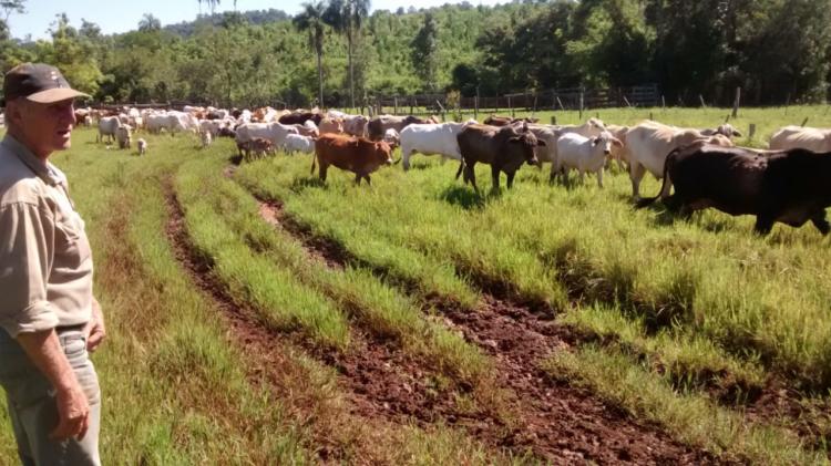 A Rudy Weber lo mataron a quemarropa los mismos que habían entrado a carnear en su chacra. “Mi viejo se había cansado de hacer denuncias”, recuerda su hijo Alex