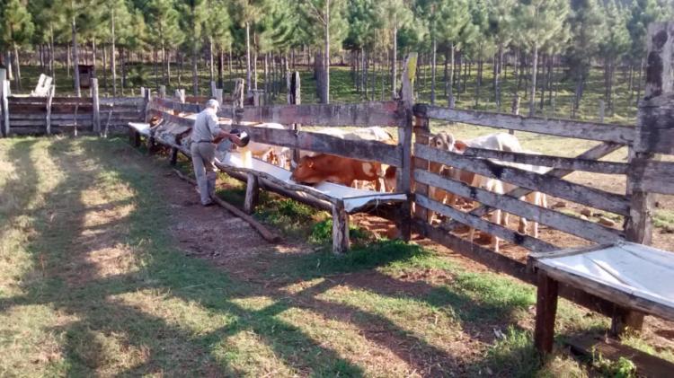 A Rudy Weber lo mataron a quemarropa los mismos que habían entrado a carnear en su chacra. “Mi viejo se había cansado de hacer denuncias”, recuerda su hijo Alex