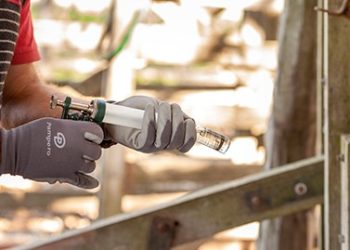 Roces con Brasil porque ellos dejaron de vacunar contra la fiebre aftosa en los estados limítrofes con Argentina