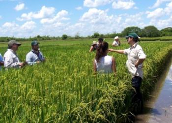 Betiana Bel es productora de arroz en Corrientes: “Algunos trabajan a pérdida, pero el costo de parar es muy alto por toda la infraestructura que demanda el cultivo”