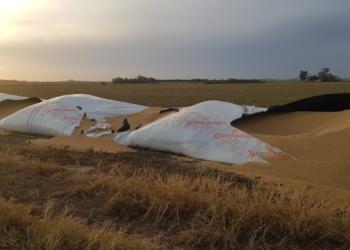 Se multiplican los ataques a silobolsas y el Gobierno sigue sin condenar a los “revolucionarios del tramontina”