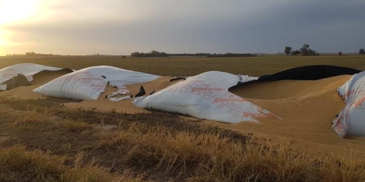 Se multiplican los ataques a silobolsas y el Gobierno sigue sin condenar a los “revolucionarios del tramontina”