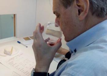 ¡Larga vida al camembert! Irradian quesos para mantener sus propiedades por más tiempo