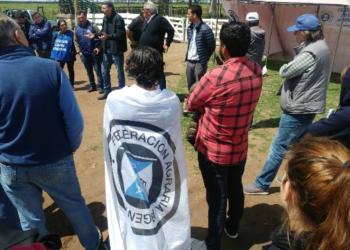 Segmentación al cuadrado: Dos iniciativas piden distinguir al pequeño productor del resto