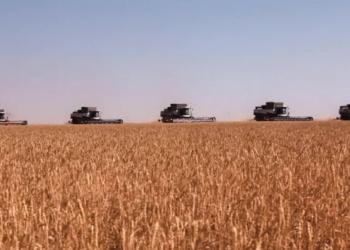 Cresud, MSU y Adecoagro: Los mayores pooles de siembra esperan márgenes muy ajustados y temen por el maíz