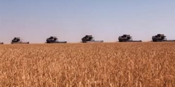 Cresud, MSU y Adecoagro: Los mayores pooles de siembra esperan márgenes muy ajustados y temen por el maíz