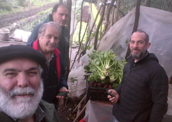 Javier Souza Casadinho, docente de la Fauba: “La pandemia pone en foco la fragilidad extrema de la horticultura”