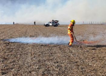 Denuncian que quemaron “intencionalmente” el campo del vicepresidente de CRA