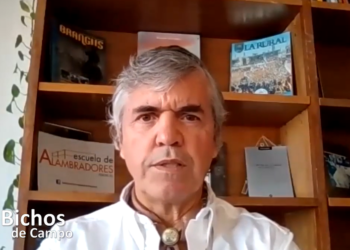 ¿Hay trabajo en el campo? Daniel Gilardi fundó una escuela para rescatar el oficio del alambrador, que sigue muy vigente