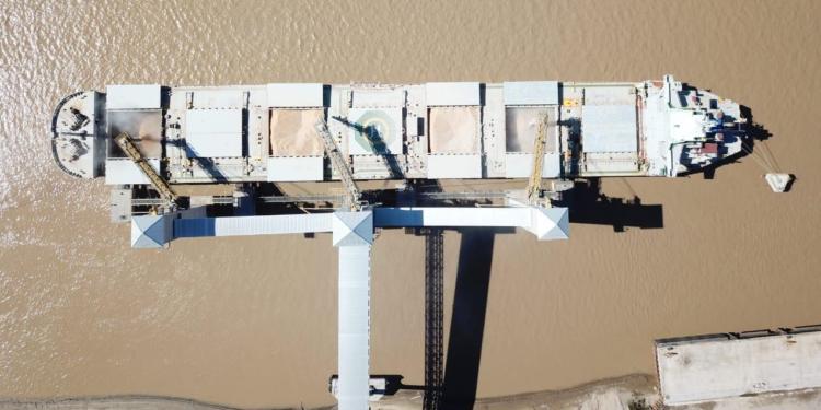 Exportaciones récord del agro: En 2019 la Argentina superó el síndrome del “cachi chien”