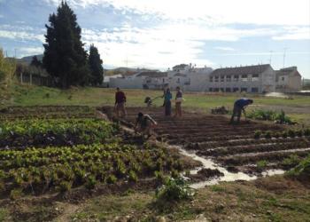 La Unión Europea quiere reducir a la mitad el uso de agroquímicos en 2030 y planea que un cuarto de sus cultivos sean ecológicos