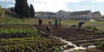 La Unión Europea quiere reducir a la mitad el uso de agroquímicos en 2030 y planea que un cuarto de sus cultivos sean ecológicos