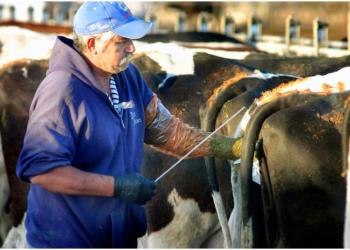 ¿Hay trabajo en el campo? El Renatre ofrece capacitaciones que apuntan a reinsertar a los trabajadores desocupados en la vida laboral
