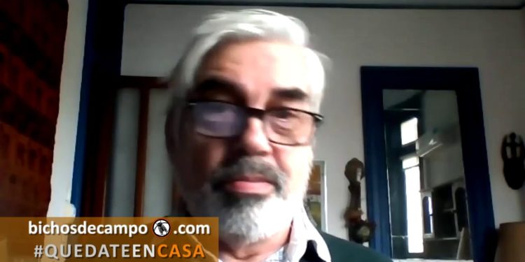 Un mundo nuevo: “Si esta pandemia no es refundacional, no habremos aprendido nada”, afirma Jorge Adámoli