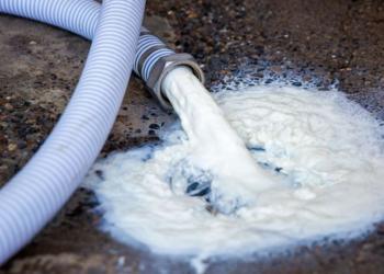 La leche derramada, será subsidiada: En medio de la pandemia, las grandes potencias socorren a sus tamberos