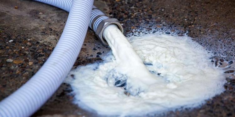 La leche derramada, será subsidiada: En medio de la pandemia, las grandes potencias socorren a sus tamberos