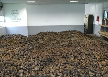 Papa que no has de vender, déjala comer: La pandemia desencadena importantes donaciones de McCain