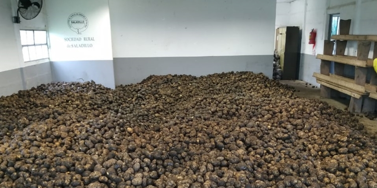 Papa que no has de vender, déjala comer: La pandemia desencadena importantes donaciones de McCain