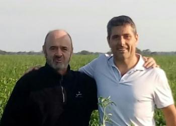 El coronavirus metió la cola en los márgenes ganaderos: Riffel y Elizalde presentan los números de los diferentes planteos