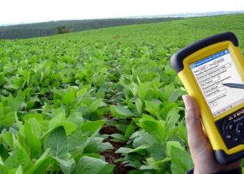 ¿Hay trabajo en el campo? El consultor Federico Pike cree que los productores están aprendiendo a cuidar mejor a su personal