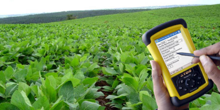 ¿Hay trabajo en el campo? El consultor Federico Pike cree que los productores están aprendiendo a cuidar mejor a su personal