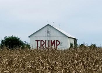 Comparaciones odiosas: Estados Unidos subsidiará con 19.000 millones de dólares a sus productores de soja y maíz