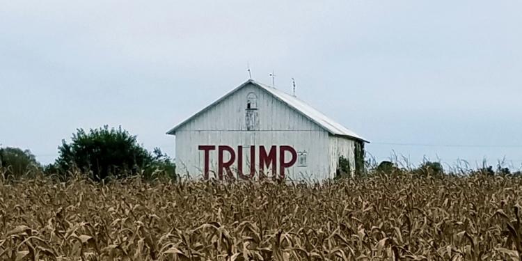 Comparaciones odiosas: Estados Unidos subsidiará con 19.000 millones de dólares a sus productores de soja y maíz