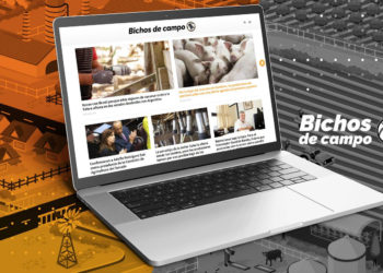 En solo tres años, Bichos de Campo se instaló entre los sitios agropecuarios más leídos de la Argentina