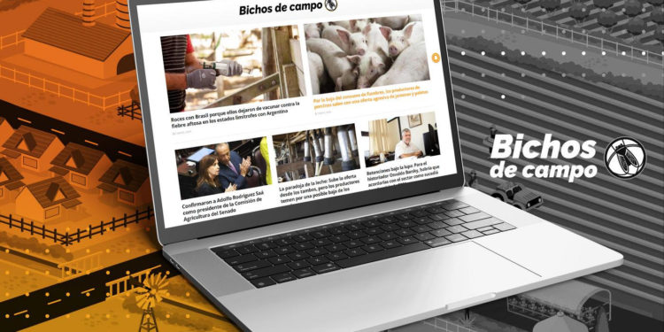 En solo tres años, Bichos de Campo se instaló entre los sitios agropecuarios más leídos de la Argentina