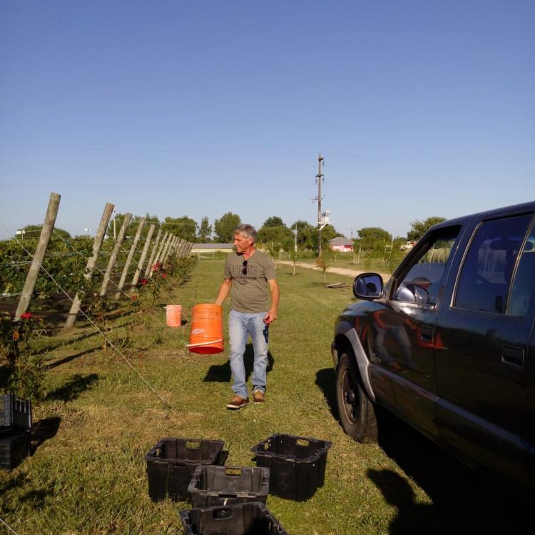 Jorge Riehme hace vino y nuez pecán en Urdinarrain: “Creo en la agroecología y en hacer primero nosotros lo que le exigimos a otros”