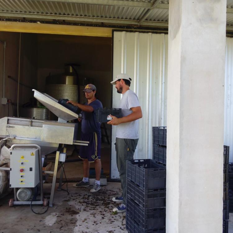 Jorge Riehme hace vino y nuez pecán en Urdinarrain: “Creo en la agroecología y en hacer primero nosotros lo que le exigimos a otros”