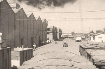 AgroEmpresas: Vicentin ahora produce alcohol en gel, mientras Bioceres crece en facturación