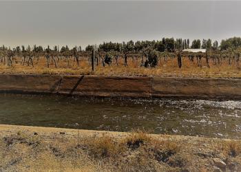 Por fin: Presentaron un proyecto para modificar la inofensiva Ley de Emergencia Agropecuaria