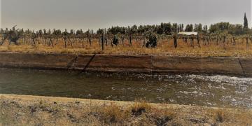 Por fin: Presentaron un proyecto para modificar la inofensiva Ley de Emergencia Agropecuaria