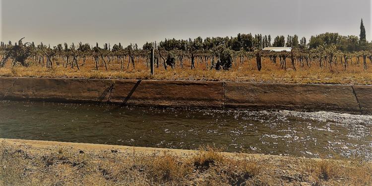 Por fin: Presentaron un proyecto para modificar la inofensiva Ley de Emergencia Agropecuaria